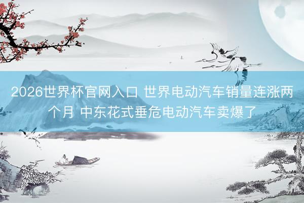 2026世界杯官网入口 世界电动汽车销量连涨两个月 中东花式垂危电动汽车卖爆了