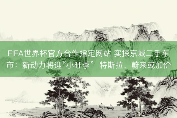 FIFA世界杯官方合作指定网站 实探京城二手车市：新动力将迎“小旺季”  特斯拉、蔚来或加价