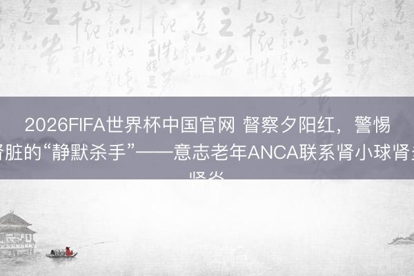 2026FIFA世界杯中国官网 督察夕阳红,警惕肾脏的“静默杀手”——意志老年ANCA联系肾小球肾炎