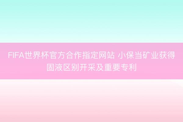 FIFA世界杯官方合作指定网站 小保当矿业获得固液区别开采及重要专利