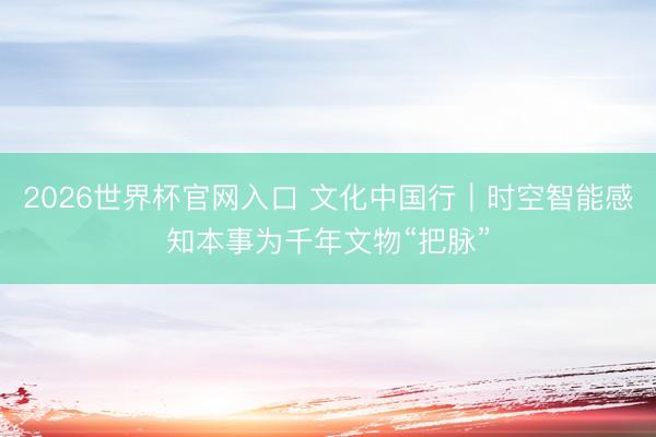 2026世界杯官网入口 文化中国行｜时空智能感知本事为千年文物“把脉”